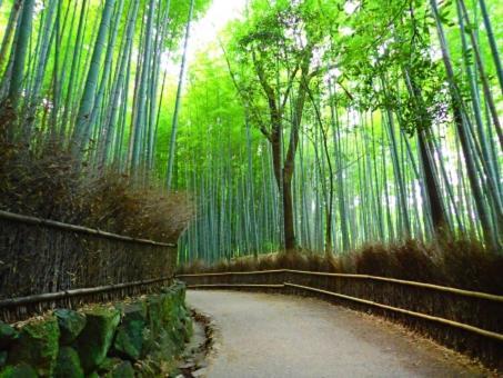 Cochien Imperial Garden Villa Kyoto Dış mekan fotoğraf